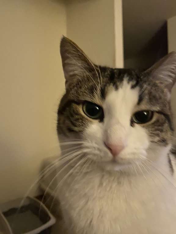 06EDF335 0637 4E13 83AE AF74C2D3BD73 scaled 1