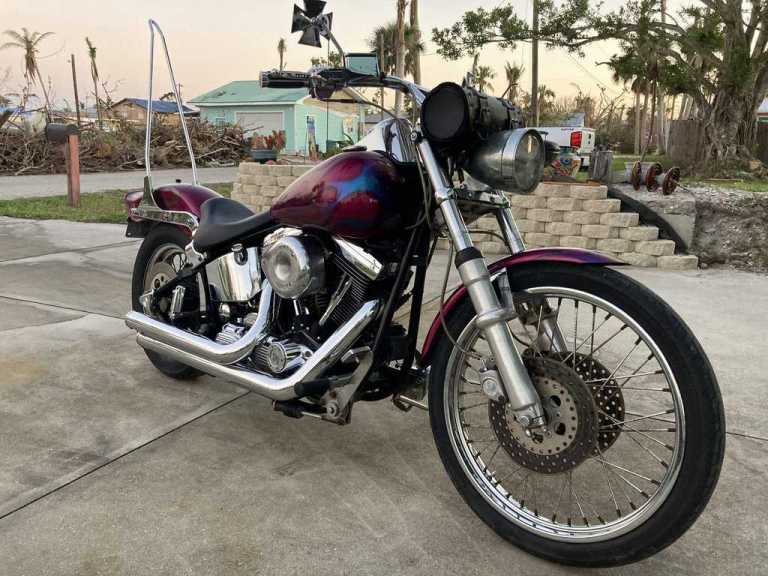 7CCE7C2A FF82 4F30 8FFB 9592C24B41B9 scaled 1 768x576