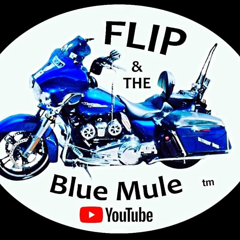 IMG 20240120 092109 392 768x768