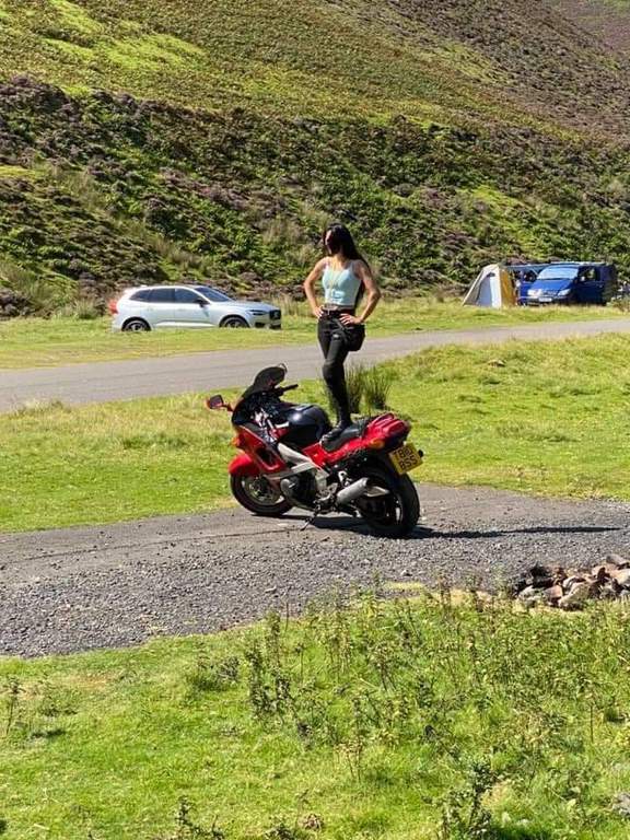 inbound1981387827178991565