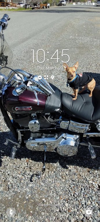 inbound3031327718082742226