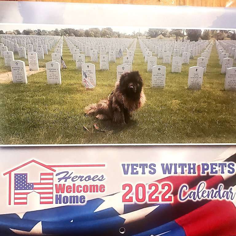 inbound3281104166965010683