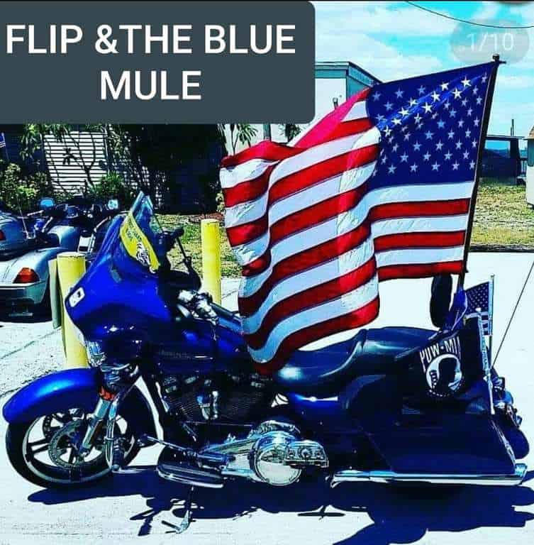 inbound3582095359344808173