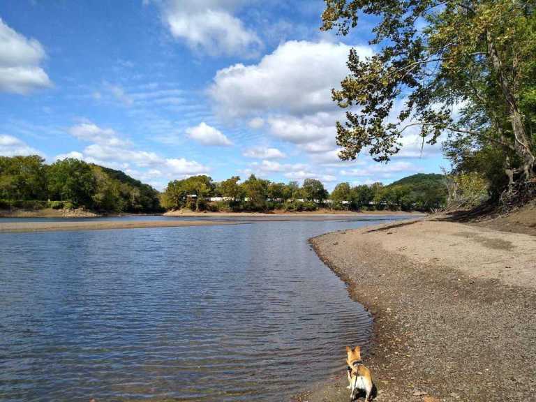 inbound4234277647253483082 768x576