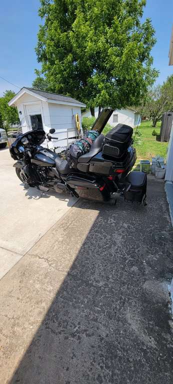 inbound4269743219393779782