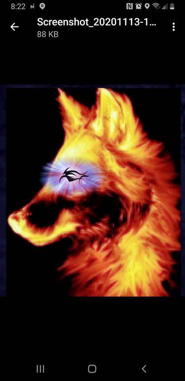 inbound4968140376029488305