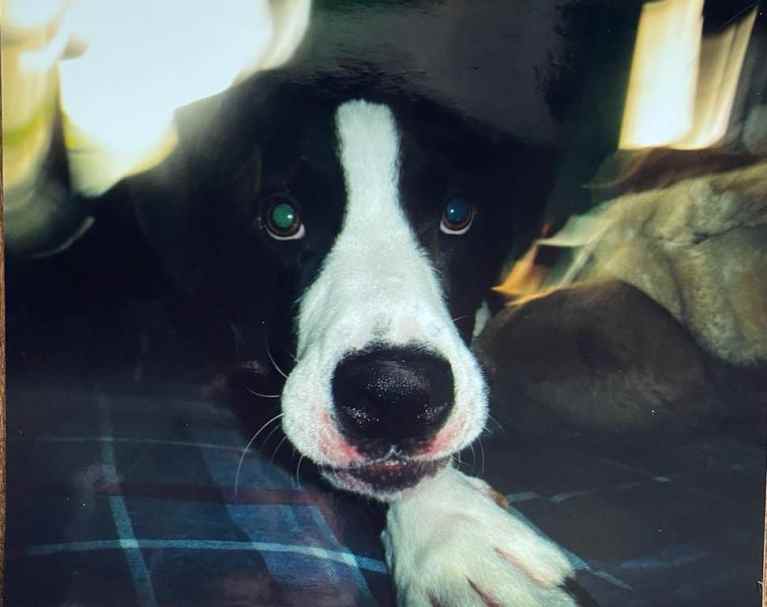 inbound5120710947616513371 768x607