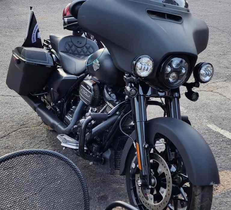 orca image 339007978 768x699