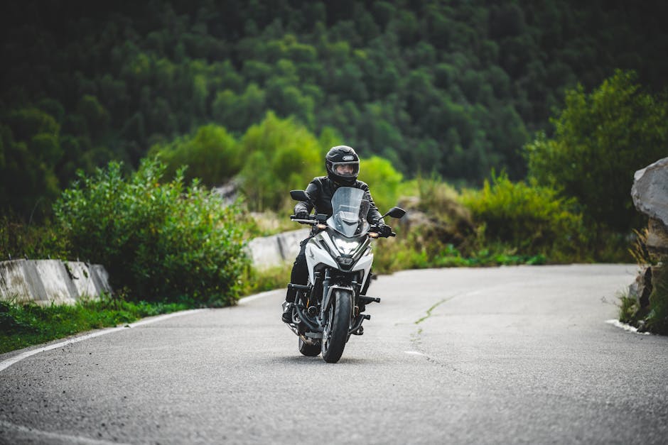 A cruiser motorcycle on the Ormond Scenic Loop and Trail, with lush green trees and a winding road in the background. - daytona beach biketoberfest 2025 dates