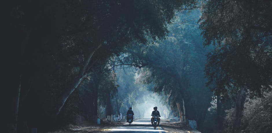 Bikers on a scenic, tree-canopied road like "The Loop" - Biketoberfest Main Street