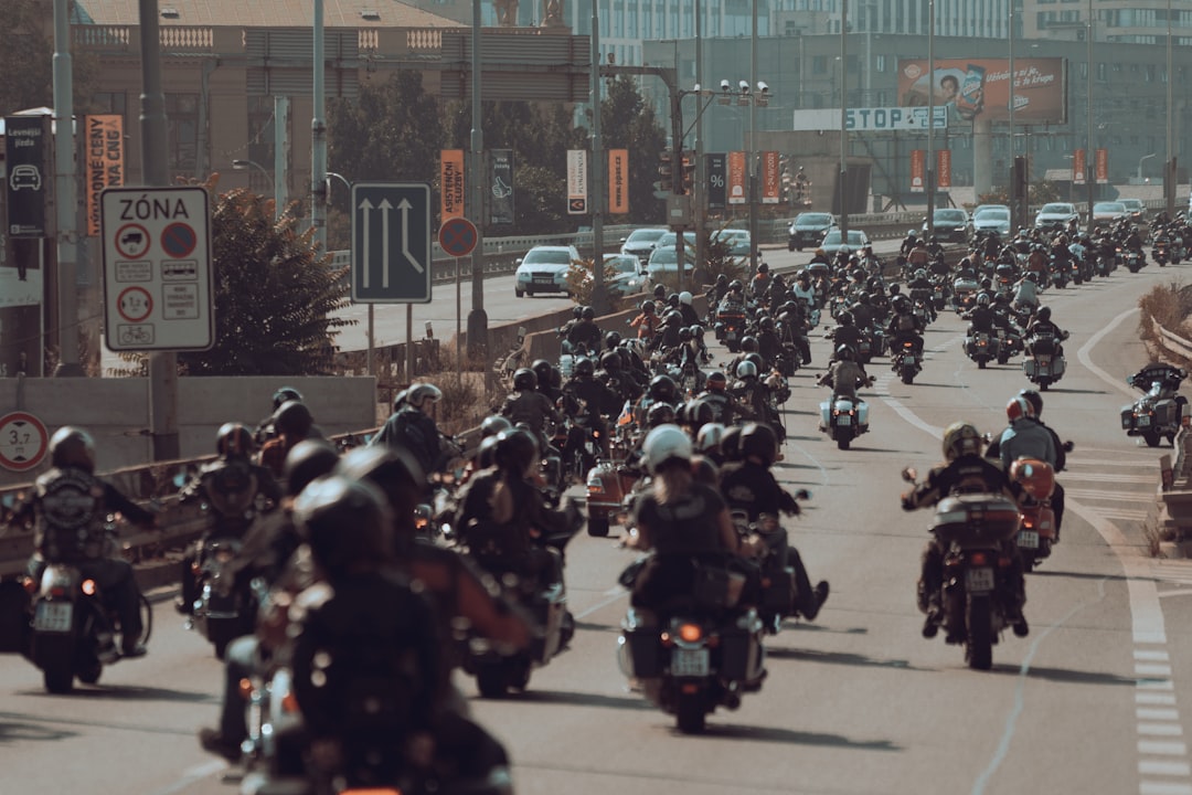 A large crowd of bikers and motorcycles on a sunny day in Sturgis - What happened at sturgis rally 2025