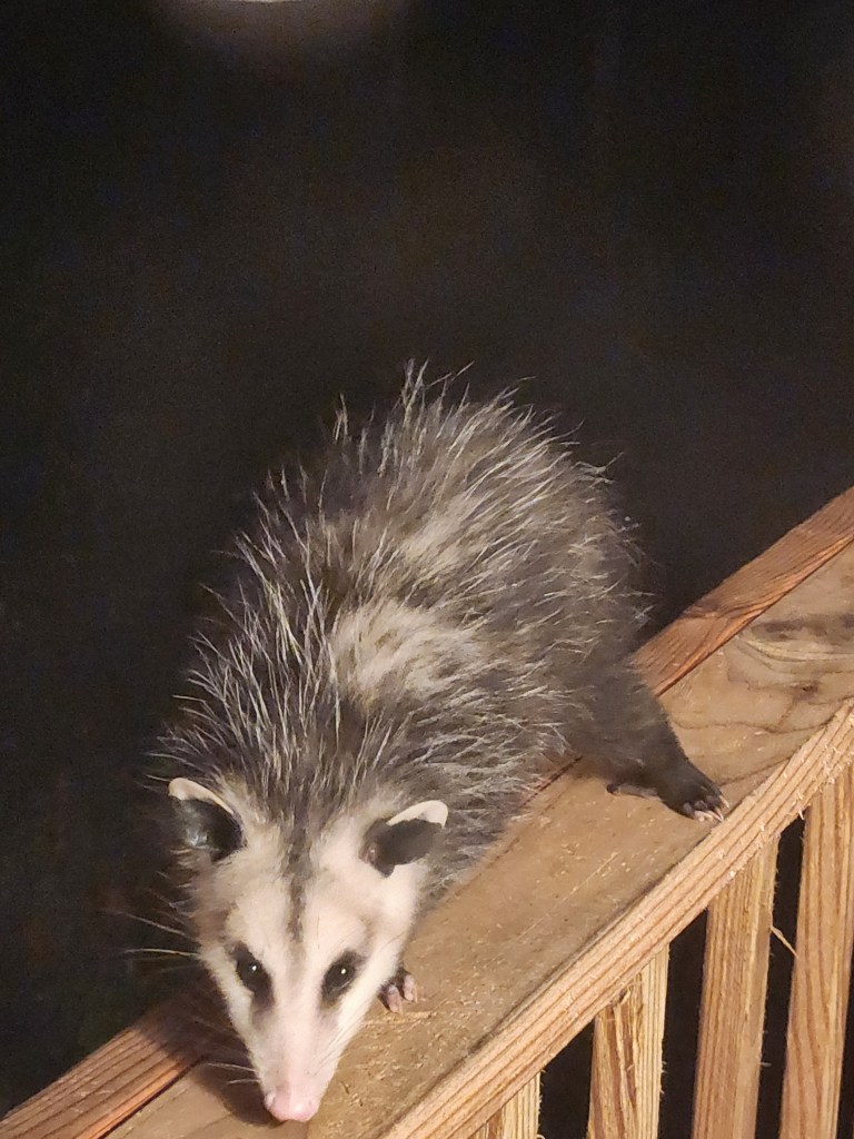 20231117 193432 768x1024