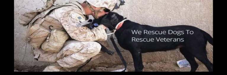 646012643 10240852772559570 235914849789514923 n 1 768x255