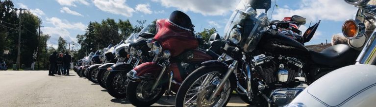 cropped img 7735 1 768x220