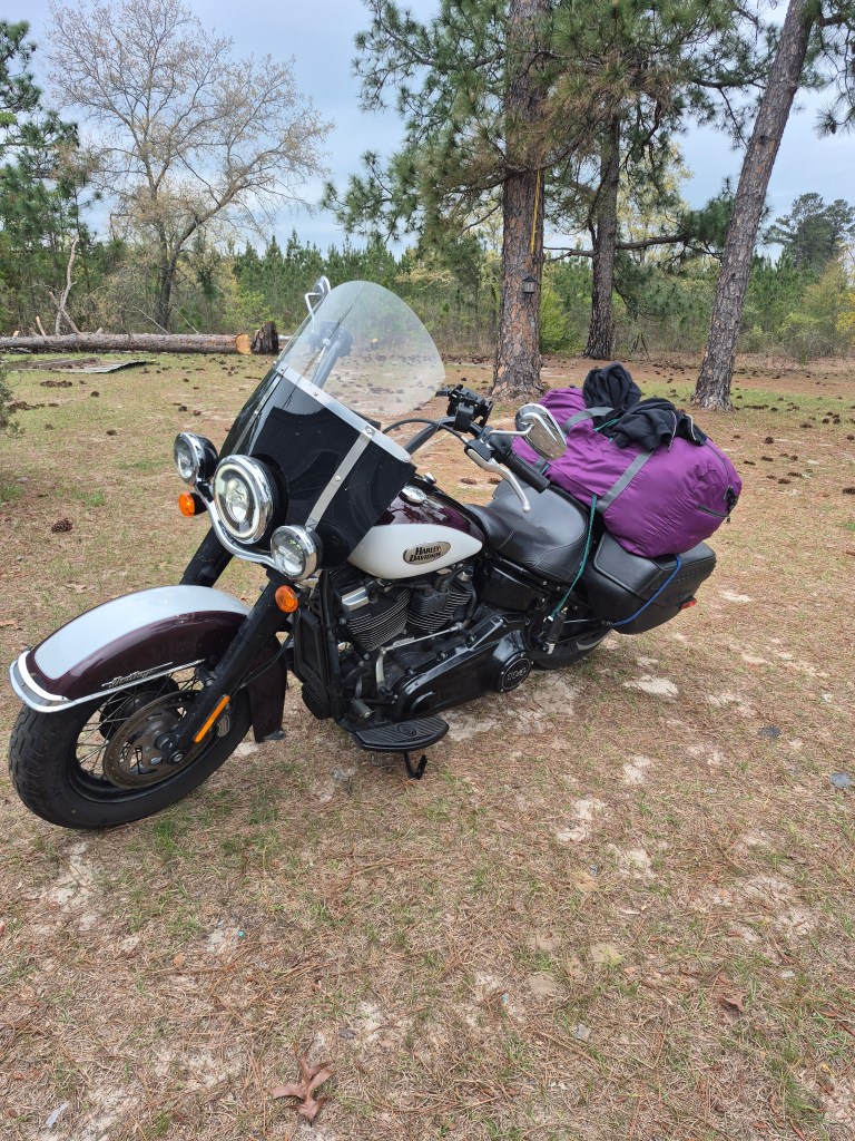 inbound879225527030310203 768x1024