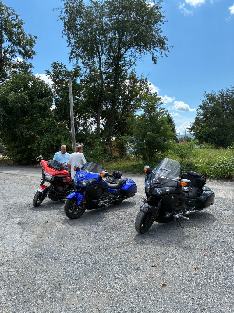 IMG 1413 768x1024