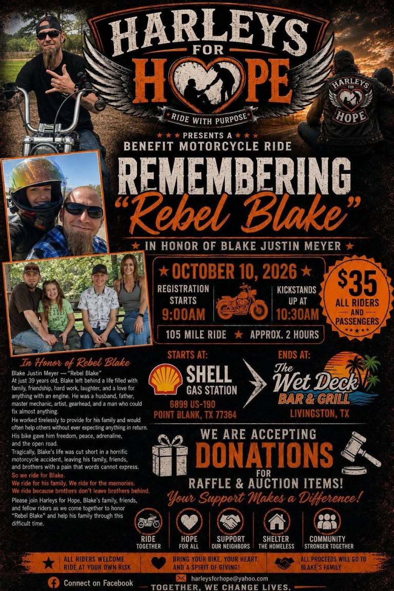 rebel 768x1152